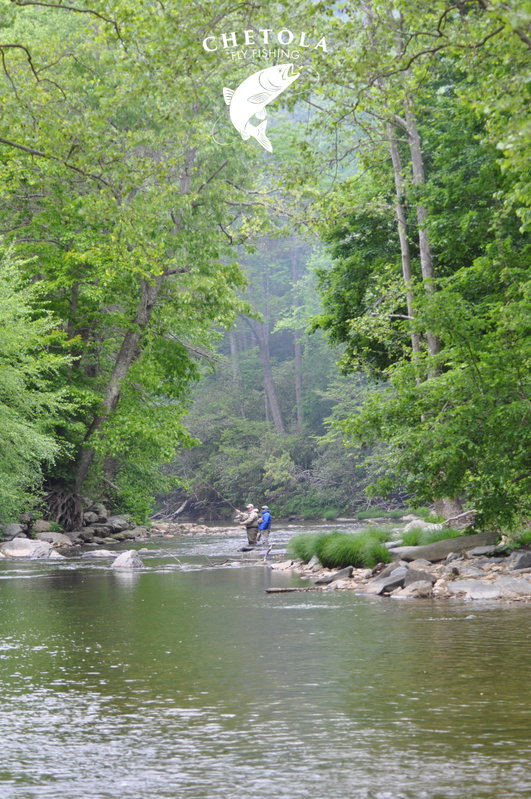 9204536474182476852test[1].jpg.jpg